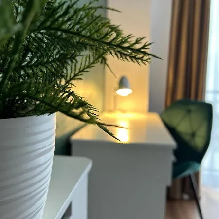 Apartament Cosy Cluj-Napoca