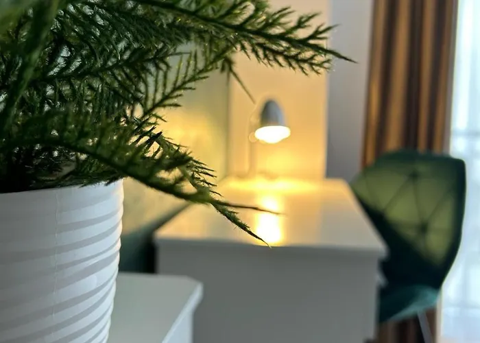 Apartment Cosy Cluj-Napoca